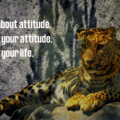 Its All About A Positive Attitude