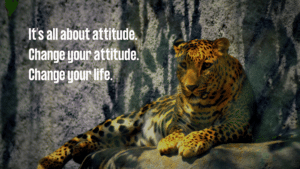 Its All About A Positive Attitude